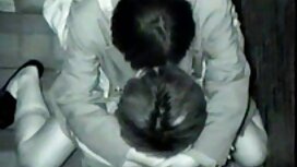 Cavalier si insinuò  ...