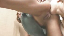 Il vestito della pol ...