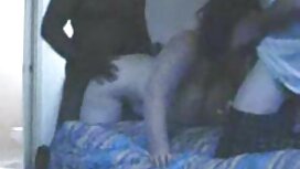 Cagna con calze a re ...