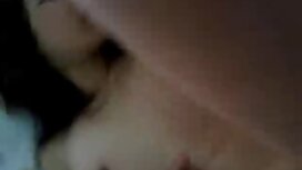 Latina pianta cagna  ...