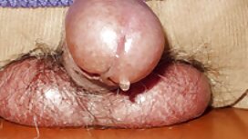 Carino Sammy decide  ...