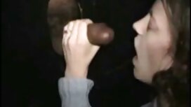 Il Brunetta video am ...